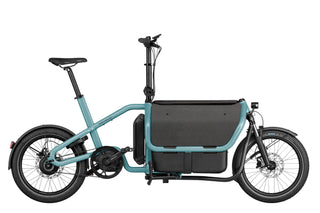 Riese & Muller Carrie vario | Aqua | Intuvia 100 | 545Wh | Flex Box | Child Seat | Rain Cover | Suspension seatpost Schulz G.2 ST with cover