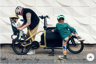 Riese & Muller Carrie vario | Aqua | Intuvia 100 | 545Wh | Flex Box | Child Seat | Rain Cover | Suspension seatpost Schulz G.2 ST with cover