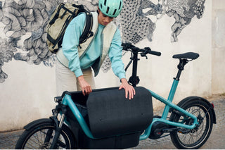 Riese & Muller Carrie vario | Aqua | Intuvia 100 | 545Wh | Flex Box | Child Seat | Rain Cover | Suspension seatpost Schulz G.2 ST with cover
