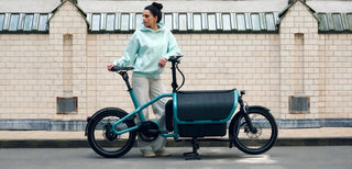 Riese & Muller Carrie vario | Aqua | Intuvia 100 | 545Wh | Flex Box | Child Seat | Rain Cover | Suspension seatpost Schulz G.2 ST with cover