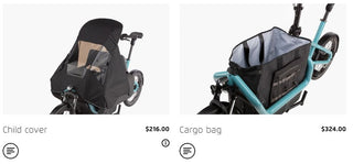 Riese & Muller Carrie vario | Aqua | Intuvia 100 | 545Wh | Flex Box | Child Seat | Rain Cover | Suspension seatpost Schulz G.2 ST with cover
