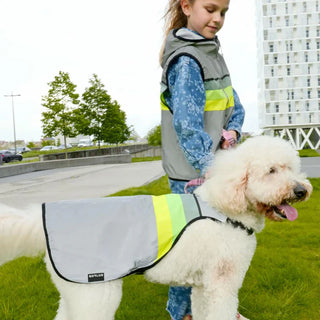 GoFluo | Moonlight Dogwear | Size Large | Grey Reflective