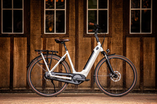 Gazelle | Arroyo C7 Elite |