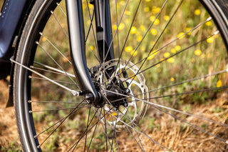 Gazelle | Arroyo C7 Elite |