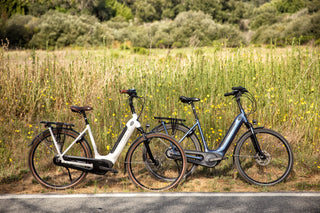 Gazelle | Arroyo C7 Elite |