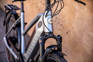 Gazelle | Ultimate C380+ High-Step |