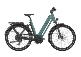 Gazelle Eclipse T11+ HMB | Low Step | Thyme Green Gloss | 27.5"
