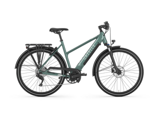 Gazelle | Medeo T10+ Mid-Step |