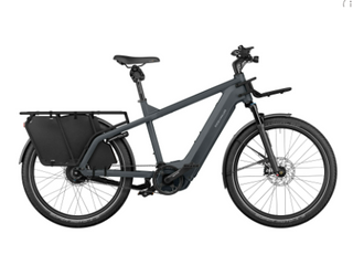 Riese & Muller | Multicharger2 GT Vario 750 | Grey/Black - 47cm | Kiox 300 | Front Carrier | Passenger Kit | GX Option | Chain Lock with Bag  | Bipod Kickstand