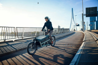 Riese & Muller | Load 60 Rohloff HS | Coal Grey Matte | Nyon  500Wh Battery | High Sidewalls with Tarpaulin | Glove Compartment | GX Option | Additional Chain Lock with Bag