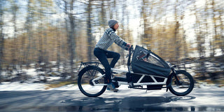 Riese & Muller | Load 60 Rohloff HS | Coal Grey Matte | Nyon  500Wh Battery | High Sidewalls with Tarpaulin | Glove Compartment | GX Option | Additional Chain Lock with Bag
