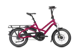 Tern HSD P5i | Dragon Fruit | 545Wh | Smart System | Performance