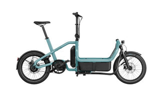 Riese & Muller Carrie vario | Aqua | Intuvia 100 | 545Wh | Flex Box | Child Seat | Rain Cover | Suspension seatpost Schulz G.2 ST with cover