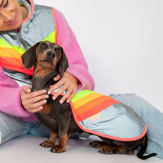 GoFluo | Luna Dogwear | Size Small | Grey Reflective