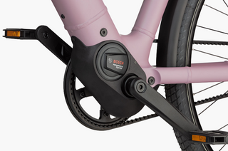 Riese & Muller | Culture Mixte Silent | Blossom - 50cm | Bosch Performance Line Sprint | Purion 200 display | 400Wh | Carrier