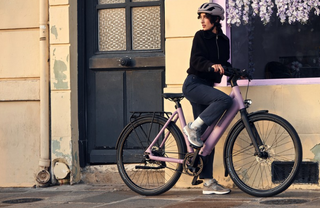 Riese & Muller | Culture Mixte Silent | Blossom - 50cm | Bosch Performance Line Sprint | Purion 200 display | 400Wh | Carrier