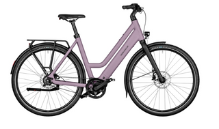 Riese & Muller | Culture Mixte Silent | Blossom - 50cm | Bosch Performance Line Sprint | Purion 200 display | 400Wh | Carrier