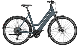Riese & Muller | Culture Mixte Silent | Blossom - 50cm | Bosch Performance Line Sprint | Purion 200 display | 400Wh | Carrier