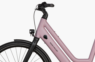 Riese & Muller | Culture Mixte Silent | Blossom - 50cm | Bosch Performance Line Sprint | Purion 200 display | 400Wh | Carrier