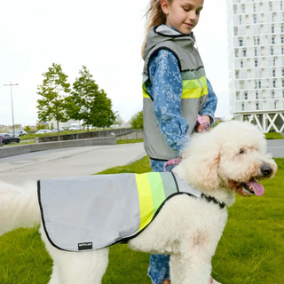 GoFluo | Moonlight Dogwear | Size Large | Grey Reflective