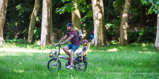 Tern | Vektron S10 Folding eBike | Silver