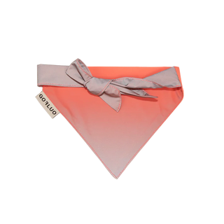 GoFluo | Bandana Dogwear | One Size | Coral Reflective