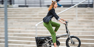 Tern | Vektron S10 Folding eBike | Silver