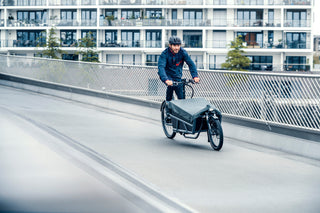 Riese & Muller | Load 60 Rohloff HS | Coal Grey Matte | Nyon  500Wh Battery | High Sidewalls with Tarpaulin | Glove Compartment | GX Option | Additional Chain Lock with Bag