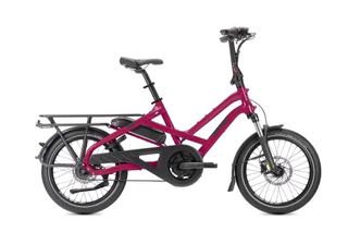 Tern HSD P5i | Dragon Fruit | 545Wh | Smart System | Performance
