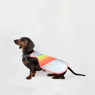GoFluo | Luna Dogwear | Size Small | Grey Reflective