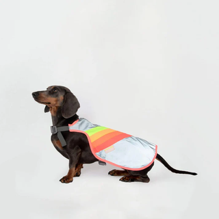 GoFluo | Luna Dogwear | Size Medium | Grey Reflective