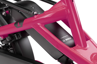 Tern HSD P5i | Dragon Fruit | 545Wh | Smart System | Performance