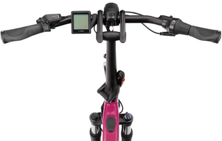 Tern HSD P5i | Dragon Fruit | 545Wh | Smart System | Performance