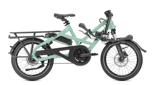 Tern HSD P5i | Dragon Fruit | 545Wh | Smart System | Performance