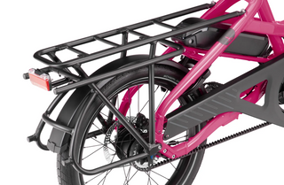 Tern HSD P5i | Dragon Fruit | 545Wh | Smart System | Performance