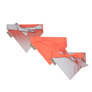 GoFluo | Bandana Dogwear | One Size | Coral Reflective