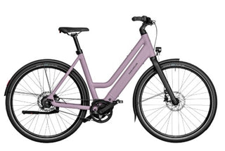 Riese & Muller | Culture Mixte Silent | Blossom - 50cm | Bosch Performance Line Sprint | Purion 200 display | 400Wh | Carrier