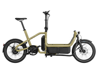 Riese & Muller Carrie vario | Aqua | Intuvia 100 | 545Wh | Flex Box | Child Seat | Rain Cover | Suspension seatpost Schulz G.2 ST with cover