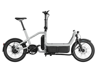 Riese & Muller Carrie vario | Aqua | Intuvia 100 | 545Wh | Flex Box | Child Seat | Rain Cover | Suspension seatpost Schulz G.2 ST with cover