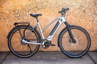 Gazelle | Ultimate C380+ Mid-Step |