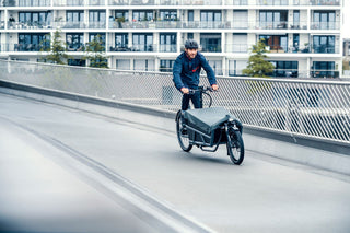 Riese & Muller | Load 60 Rohloff HS | Coal Grey Matte | Nyon  500Wh Battery | High Sidewalls with Tarpaulin | Glove Compartment | GX Option | Additional Chain Lock with Bag