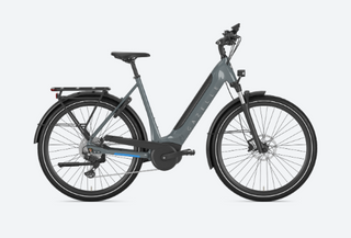 Gazelle Ultimate T10 Smart System, 625Wh Performance Line, Low-Step Frozen White Gloss 46cm