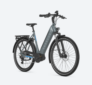 Gazelle Ultimate T10 Smart System, 625Wh Performance Line, Low-Step Frozen White Gloss 53cm