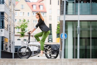 Tern | Vektron S10 Folding eBike | Silver