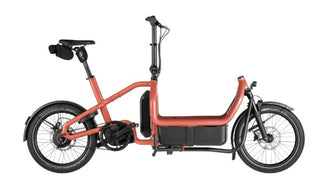 Riese & Muller Carrie2 automatic | Coral | Kiox 300 | 800Wh | Cargo kit